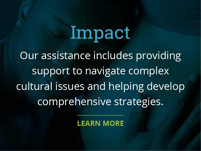 Our assistance includes providing support to navigate complex cultural issues and helping develop comprehensive strategies.